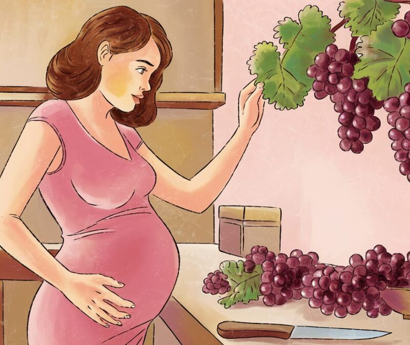 Can You Eat Grapes During Pregnancy? – Find Out If It’s Safe or Not!