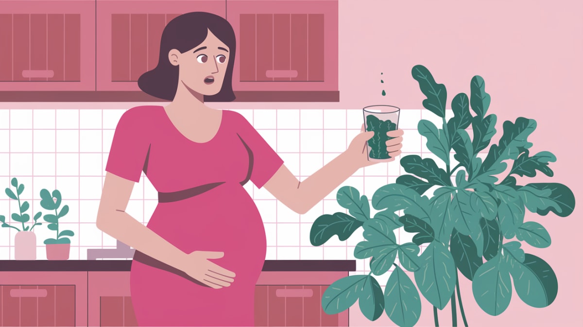 Can You Drink Sorrel During Pregnancy? – Find Out If It’s Safe or Not!