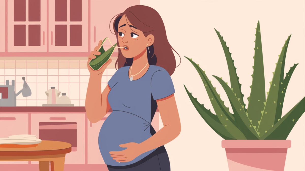 Can You Drink Aloe Vera Juice During Pregnancy? – Find Out If It’s Safe or Not!