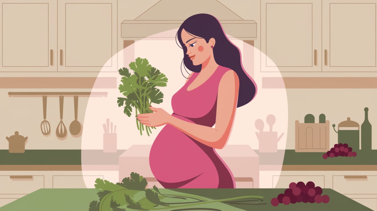 Can You Eat Cilantro During Pregnancy? – Find Out If It’s Safe or Not!