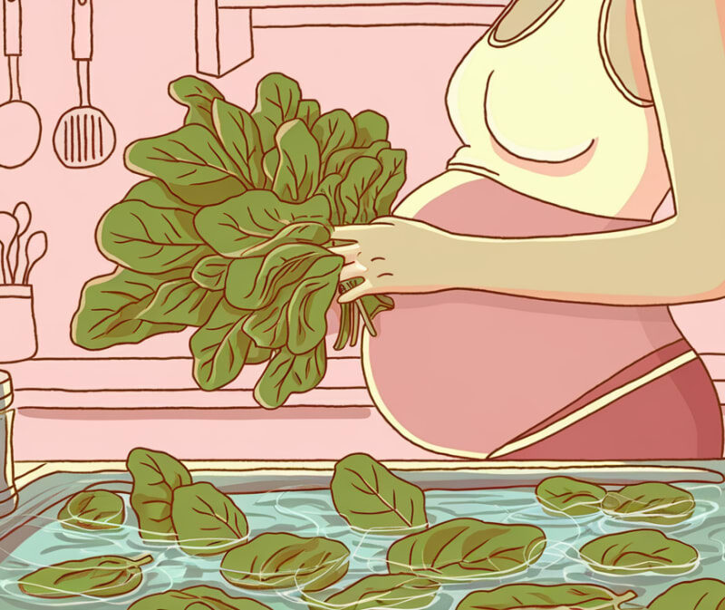 Can You Eat Spinach During Pregnancy? – Find Out If It’s Safe or Not!
