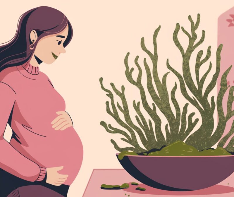 Can You Eat Sea Moss During Pregnancy? – Find Out If It’s Safe or Not!