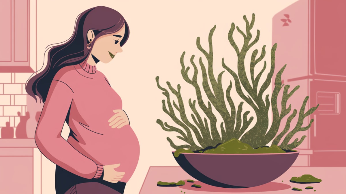 Can You Eat Sea Moss During Pregnancy? – Find Out If It’s Safe or Not!