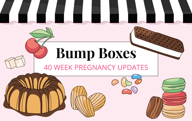 Pregnancy Week By Week Updates Bump Boxes Bump Boxes