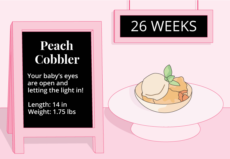 26 Weeks Pregnant Ultrasound Symptoms And More Bump Boxes Bump Boxes