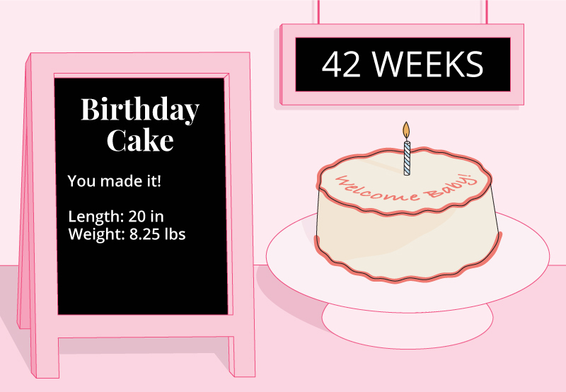 42 Weeks Pregnant Ultrasound, Symptoms and More Bump Boxes Bump Boxes